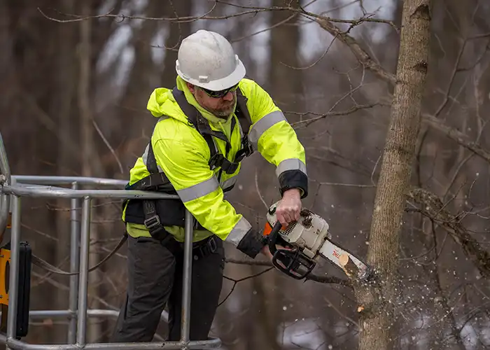 G2 Arborist Trimming a Tree Limb