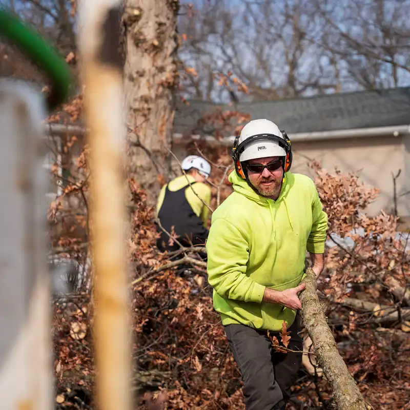 G2 Tree Services - arborist carrying cut tree branches