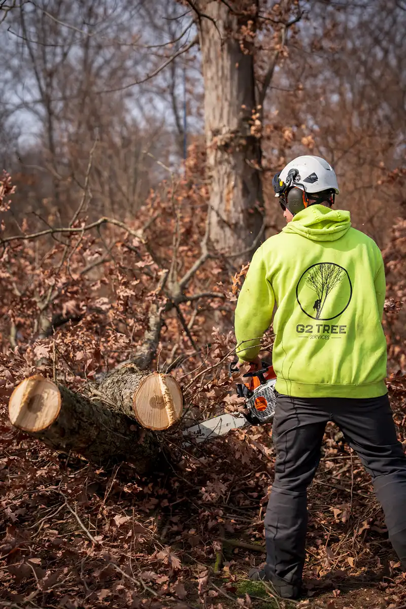 G2 Tree Services - arborist cutting tree sections on ground 2