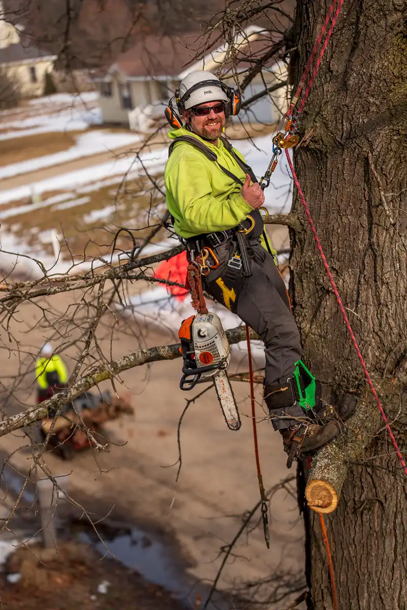 G2 Tree Services - arborist in tree trimming limbs with climbing equipment