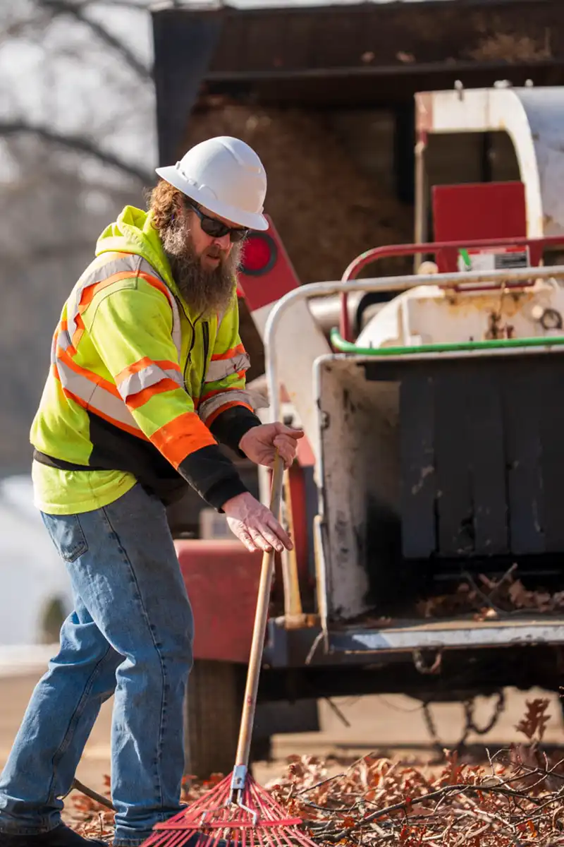 G2 Tree Services - arborist raking tree limbs into chipper