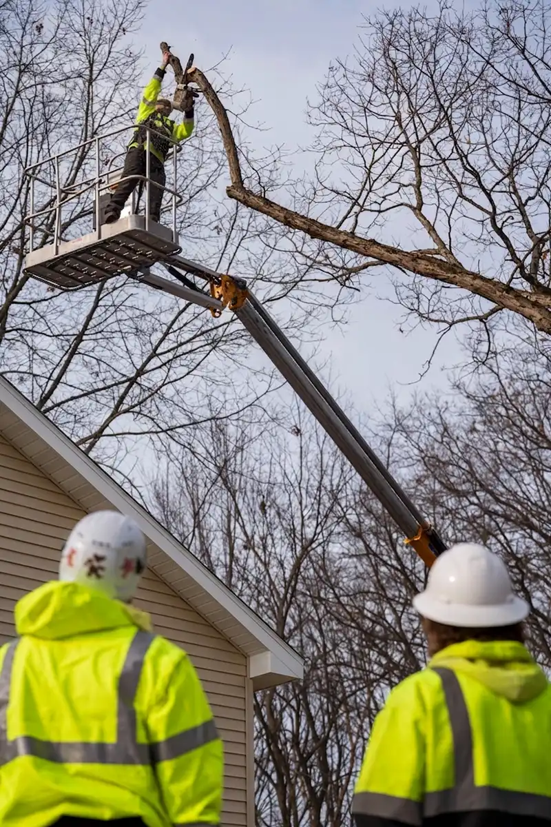 G2 Tree Services - arborist trimming tree branches above house from man lift basket