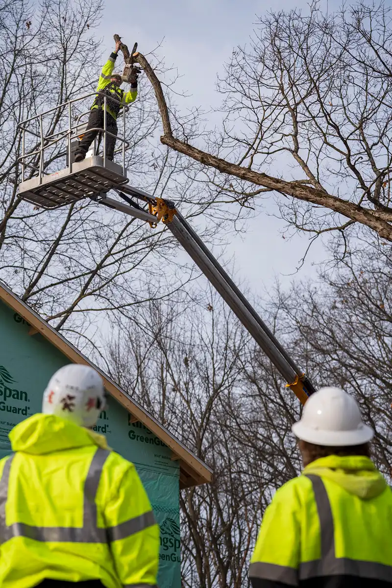 G2 Tree Services - arborist trimming tree branches from man lift basket