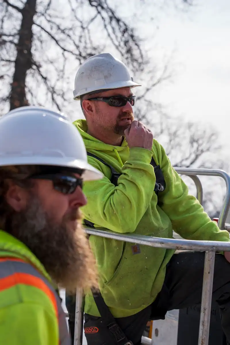 G2 Tree Services - two arborists making plan on site tree service