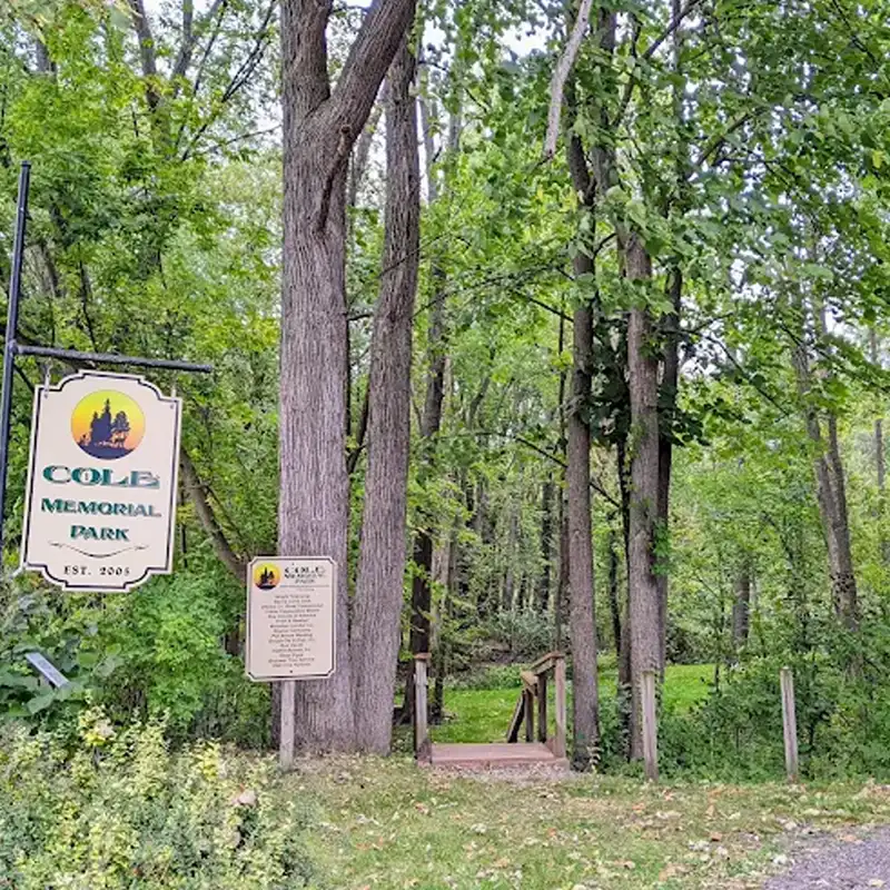 Cole Memorial Park in Marne MI forest trailhead 800 x 800