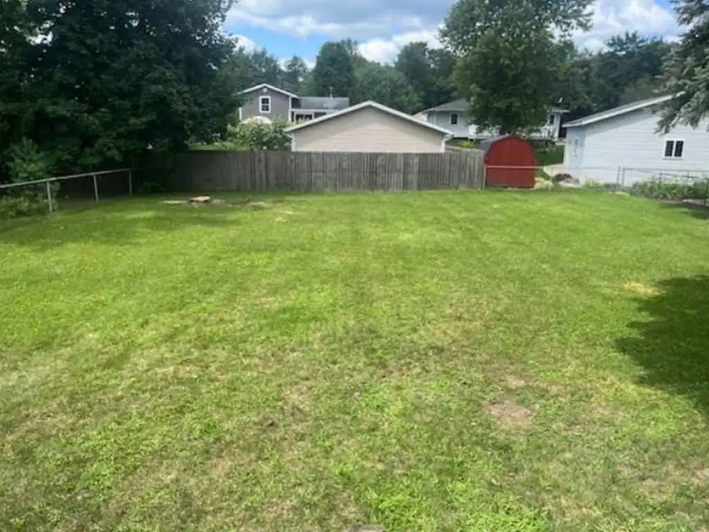 Dead Tree Removal - Residential - Rockford, MI - AFTER
