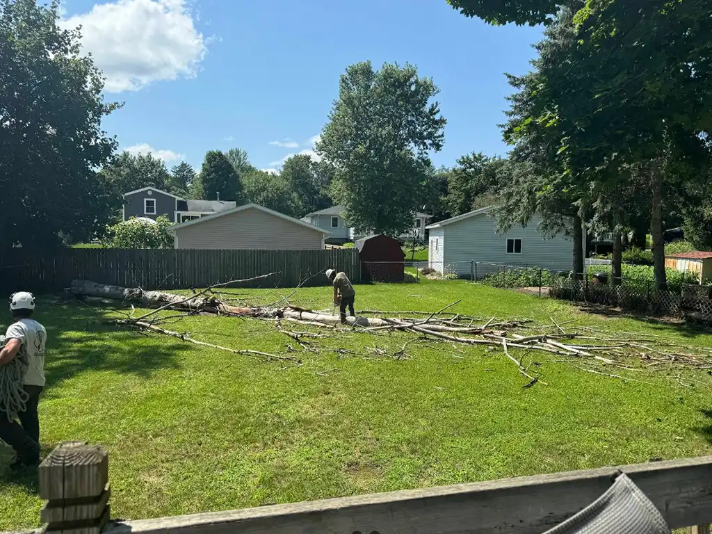 Dead Tree Removal - Residential - Rockford, MI - BEFORE