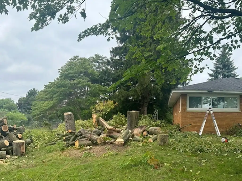 Hazard Tree Removal - Residential - Muskegon, MI - AFTER