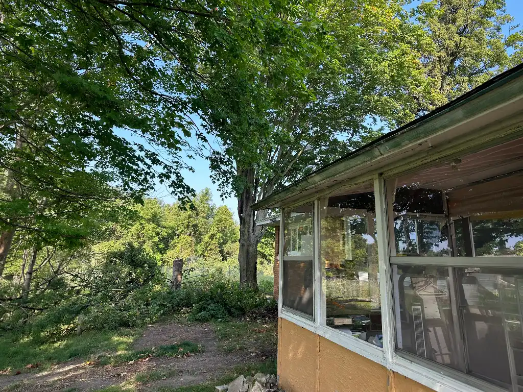 Hazard Tree Removal - Residential - Muskegon, MI - BEFORE