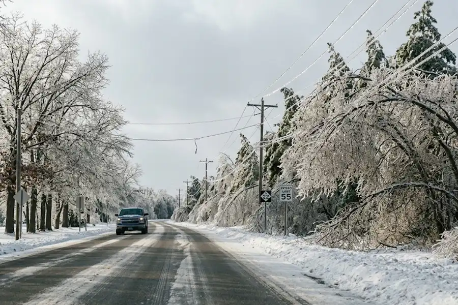 Tree Lined Michigan Road After Ice Storm
