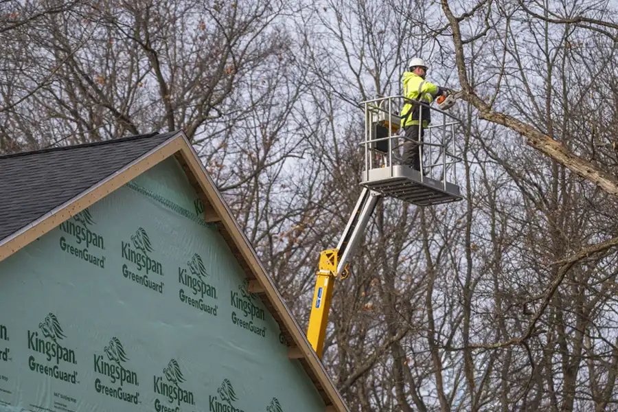 arborist in lift removing tree near home roof
